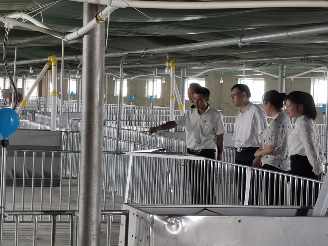 调研村级养殖农场650.jpg
